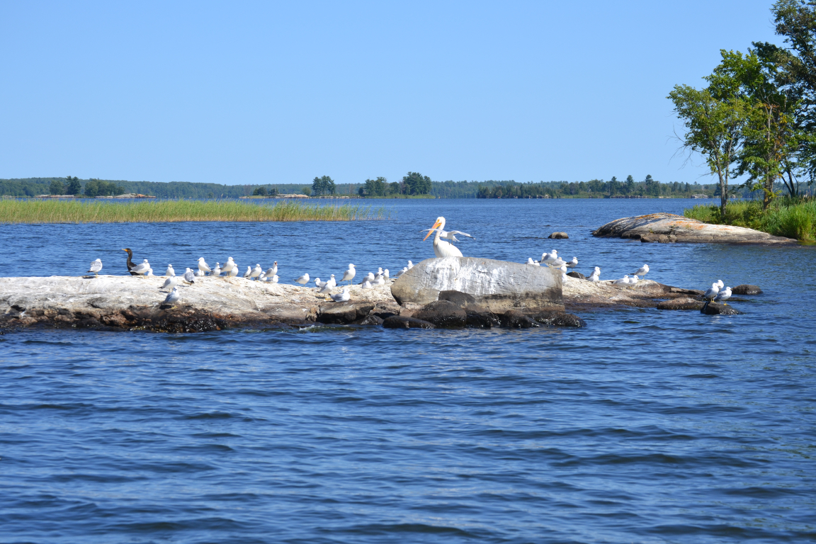 Moosehorn Resort Wilderness Photos Mahaffey's Moosehorn Resort